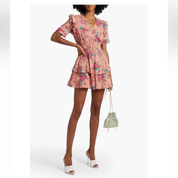 Walter Baker Pink Ivette Floral-print Broderie Anglaise Cotton Mini Dress - Picture 2 of 14